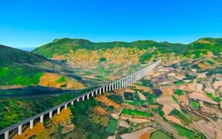 Điều chỉnh tuyến cao tốc Quy Nhơn - Pleiku qua đèo An Khê có thể giảm hơn 1.000 tỷ đồng