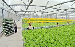 VietGAP: Từ mô hình sản xuất nhỏ lẻ đến nền nông nghiệp hiện đại