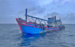 Cà Mau: Bắt giữ tàu cá vận chuyển trái phép 200.000 lít dầu D.O