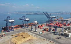 Cảng vụ Hàng hải Quảng Ninh quản lý 6 khu vực hàng hải từ 1/2/2026