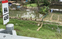 Quyết liệt xử lý tình trạng phá rào, xâm phạm hành lang cao tốc Diễn Châu - Bãi Vọt