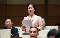 ĐBQH: Tuổi thọ trung bình của nam giới thấp dẫn đến phụ nữ cô đơn tuổi xế chiều