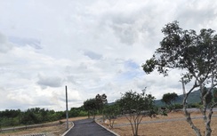 Hà Tĩnh:  Tăng cường các giải pháp “siết chặt” bất động sản, đảm bảo mua thật, giá thật