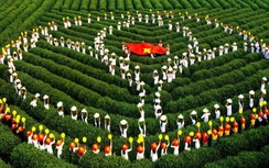 Hương sắc không gian trà, định danh “thủ phủ chè” Thái Nguyên