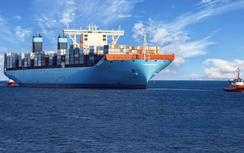 Siết quản lý, kéo giảm tỷ lệ tàu Việt bị lưu giữ ở cảng biển nước ngoài