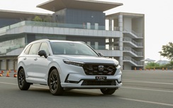 Năm 2026, cơ hội bùng nổ xe hybrid nhờ chính sách thuế