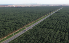 Đồng Nai: Xin bổ sung quy hoạch cầu vượt đường sắt trên ĐT769 kết nối sân bay Long Thành