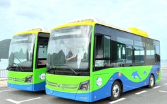 TP.HCM khai thác tuyến xe buýt điện công cộng đầu tiên tại đặc khu Côn Đảo
