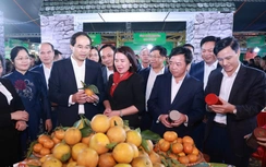 Festival nông sản, OCOP Thái Nguyên 2025 thúc đẩy liên kết thị trường