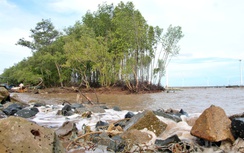 Cà Mau đầu tư 185 tỷ đồng khép kín tuyến kè giảm sóng bảo vệ đê biển Đông