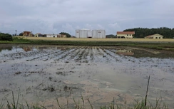 Cục Xăng dầu nói gì về sự cố tràn dầu ở KKT Dung Quất?