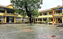 Nhiều học sinh trường tiểu học ở Huế nôn ói, đau bụng sau bữa trưa