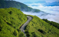 Quảng Ngãi: Sẽ đảm bảo an toàn cho phương tiện đi lại trong lễ hội hoa anh đào Măng Đen