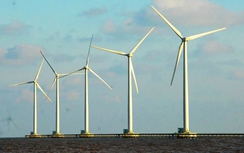 Cần Thơ đưa 5 dự án điện gió lớn vào cơ chế đấu thầu quỹ đất