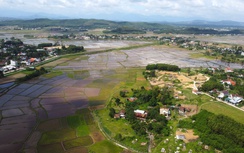 Quảng Ngãi: Yêu cầu không canh tác hoa màu trên đất quy hoạch đường 3.500 tỷ đồng