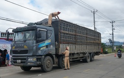 Gia Lai: Phạt nặng xe tải tự ý cải tạo thành, thùng chở mía gây mất an toàn giao thông