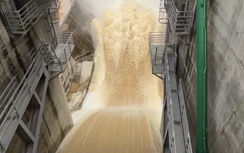 Lâm Đồng yêu cầu vận hành nghiêm hồ chứa, bảo đảm an toàn hạ du trong mưa lũ