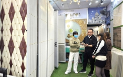 Hà Nội: Thị trường vật liệu hoàn thiện hút khách, xây thô chững nhịp