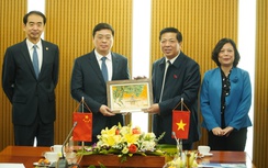 Vietnam, Guangxi strengthen cooperation on transport links and infrastructure projects