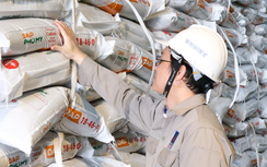 PVFCCo - Phú Mỹ ra mắt DAP Phú Mỹ: Cung ứng nguồn phân bón chất lượng cao cho thị trường