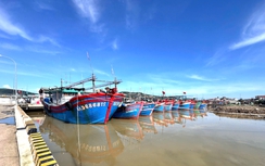 Nghệ An: Nâng cấp cảng cá, khu neo đậu tàu thuyền cần thực hiện theo Nghị định 80