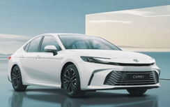 Phân khúc sedan hạng D: Toyota Camry bán nhiều gấp ba lần các đối thủ