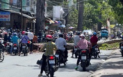 Cây đổ, gió cuốn văng biển quảng cáo giữa đường phố Trà Vinh khiến người dân bị thương