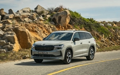 Skoda Kodiaq thế hệ mới ra mắt tại Việt Nam, giá từ 1,45 tỷ đồng