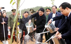 Chủ tịch nước Lương Cường phát động "Tết trồng cây đời đời nhớ ơn Bác Hồ" tại Lạng Sơn