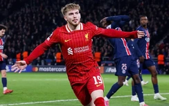 Nhận định, soi tỷ lệ Liverpool vs PSG (3h ngày 12/3), Champions League 2024-2025