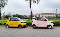 Doanh số không như kỳ vọng, TMT Motors dự định kinh doanh thêm nhiều ngành