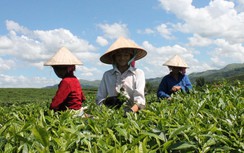 Mở rộng chương trình tín dụng 100.000 tỷ đồng với lĩnh vực nông, lâm, thủy sản