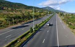 Lâm Đồng cần chuyển đổi hơn 100ha rừng để xây dựng cao tốc Tân Phú - Bảo Lộc