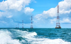 50 năm Tổng công ty Điện lực miền Nam: Tri ân lịch sử - Tự hào tiếp bước