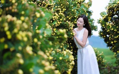 Độc đáo vườn xương rồng cổ thụ hoa vàng rực rỡ "hút" giới trẻ đến Mộc Châu