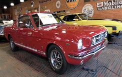 Khám phá bộ sưu tập xe Mustang cực hiếm
