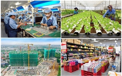 Khẩn trương chuẩn bị Triển lãm thành tựu kinh tế - xã hội kỷ niệm 80 năm Ngày Quốc khánh