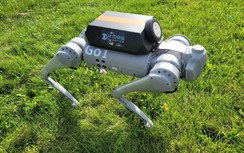 Robot chó xuất hiện dày đặc ở "đảo quốc sư tử"