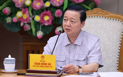 Xây dựng kế hoạch tổng thể phát triển nhiên liệu hàng không bền vững