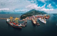 Cảng "xanh" và bài toán chuyển đổi: Khi cuộc chơi không còn là lựa chọn