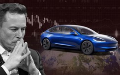 Vì sao Tesla gặp khủng hoảng tại châu Âu?