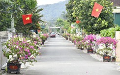 Hà Tĩnh: Diện mạo đô thị sạch đẹp, khang trang từ những ngõ phố văn minh