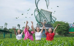 Du khách thích thú những đồi chè xanh ngát ở Thái Nguyên
