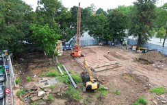 Vướng 14 cây cổ thụ, công trình xây dựng thư viện Cần Thơ chưa thể ép cọc