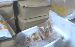 Phát hiện 9 tấn thực phẩm đông lạnh không rõ nguồn gốc ở Nha Trang