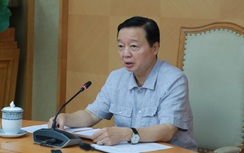 Phó Thủ tướng: Bố trí cây xanh đô thị phải có tầm nhìn, lựa chọn loại cây phù hợp
