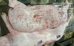 Đóng dấu an toàn lên thịt lợn C.P bị bệnh, cán bộ giải trình gì?