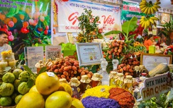 Khai mạc chương trình du lịch “Vải thiều Lục Ngạn - Tinh hoa trái cây Việt"