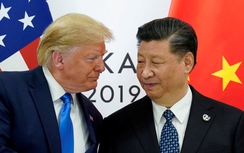 Ông Trump và ông Tập Cận Bình điện đàm hạ nhiệt căng thẳng thương mại