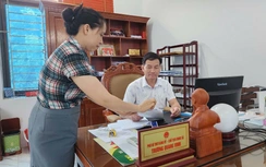 Vĩnh Phúc: Tăng cường xử lý vi phạm đất đai tại huyện Bình Xuyên